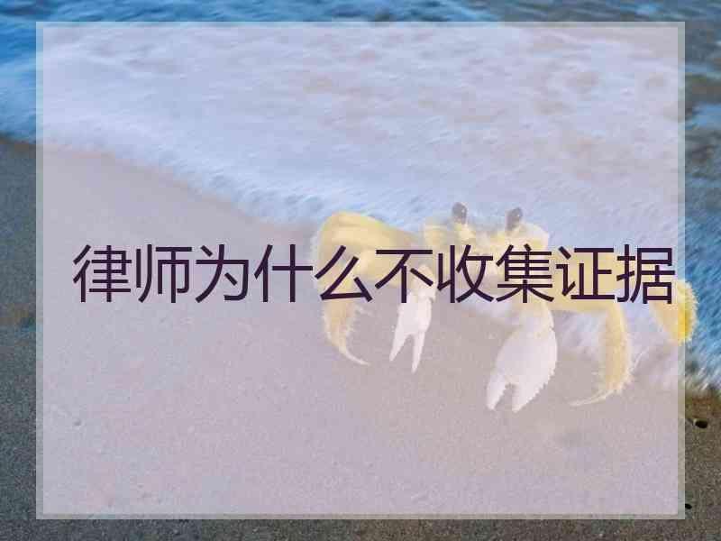 律师为什么不收集证据