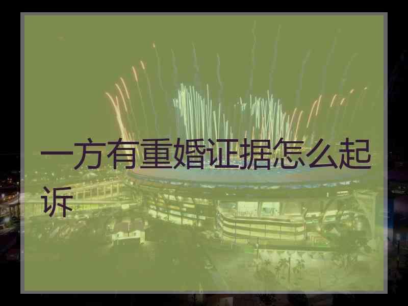 一方有重婚证据怎么起诉