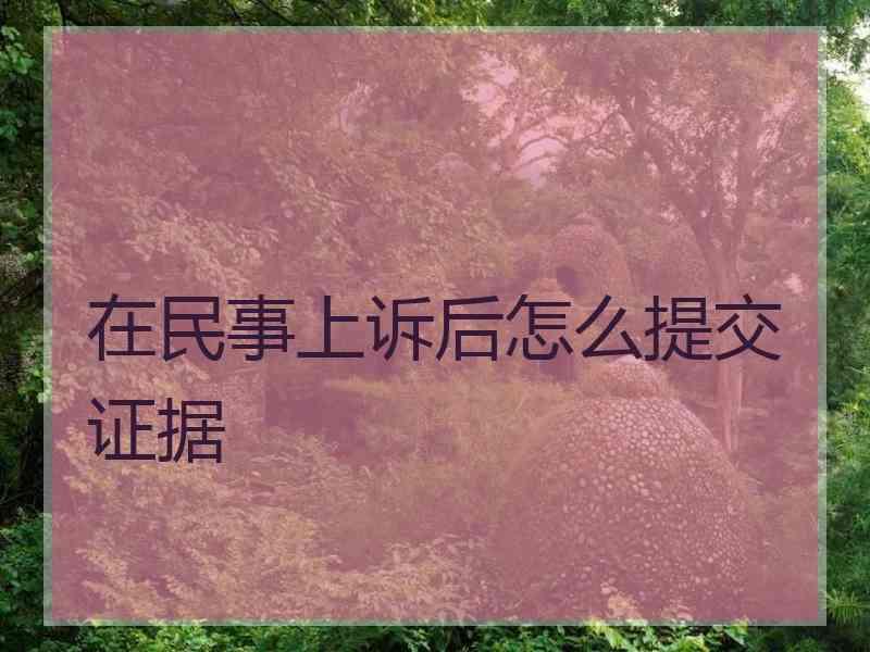 在民事上诉后怎么提交证据