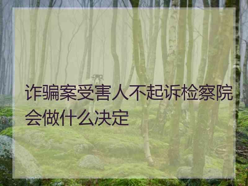 诈骗案受害人不起诉检察院会做什么决定