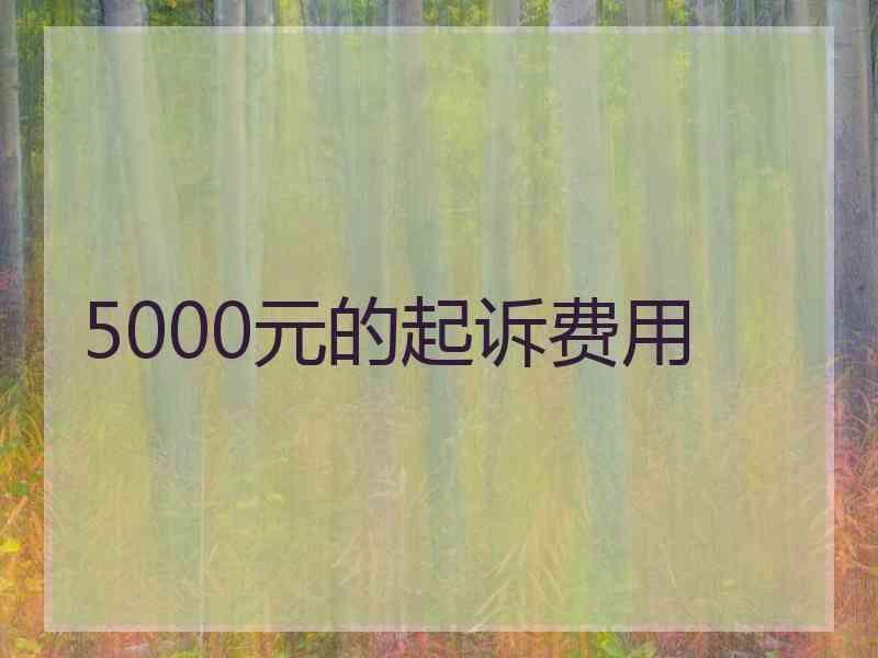 5000元的起诉费用