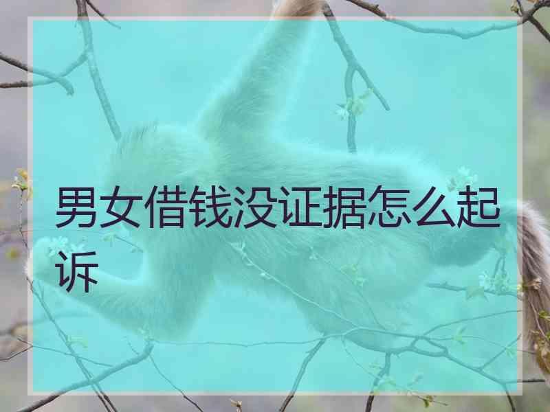 男女借钱没证据怎么起诉