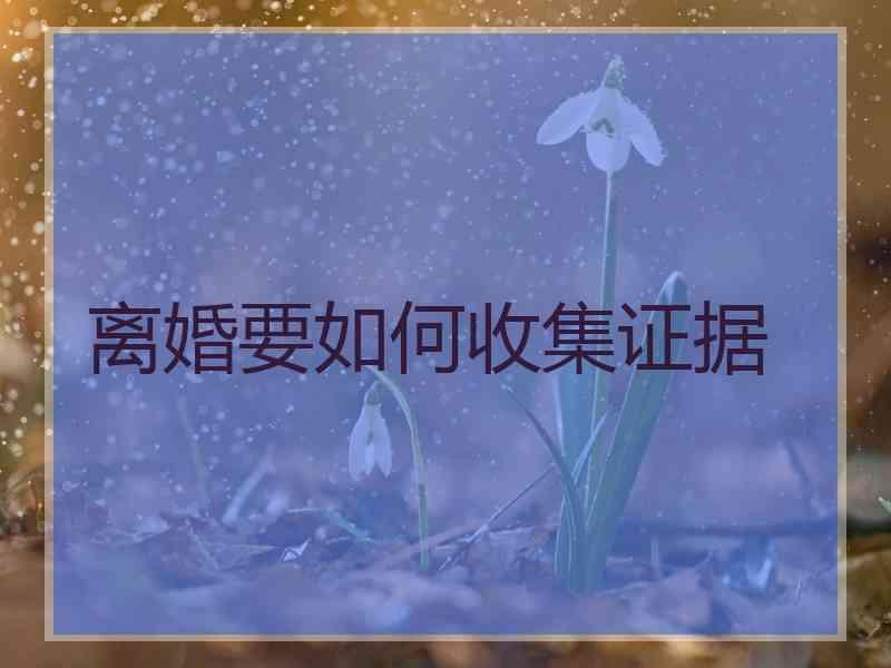 离婚要如何收集证据