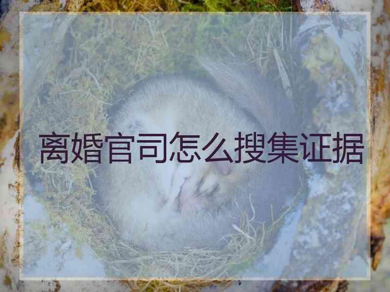 离婚官司怎么搜集证据