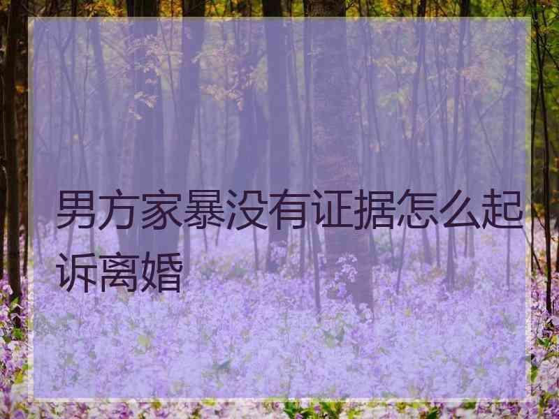 男方家暴没有证据怎么起诉离婚