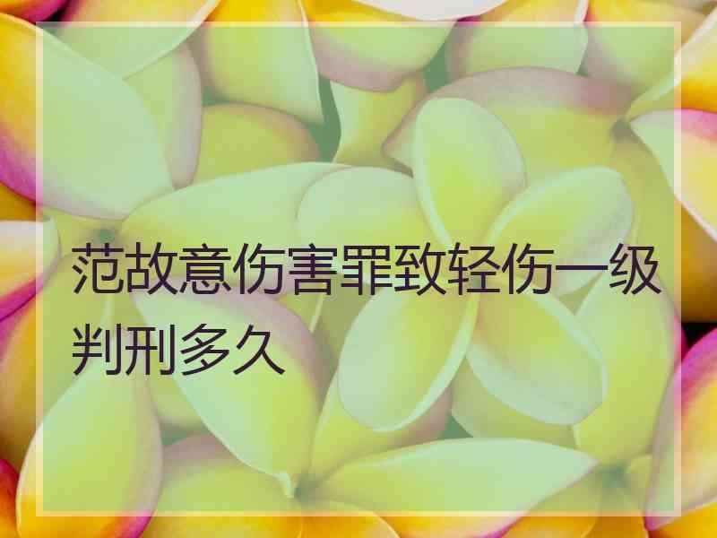 范故意伤害罪致轻伤一级判刑多久
