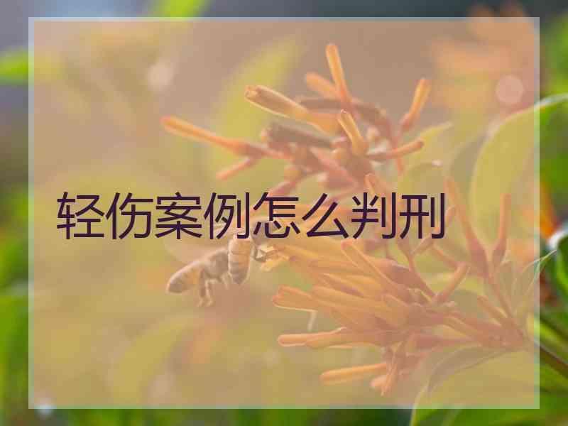 轻伤案例怎么判刑