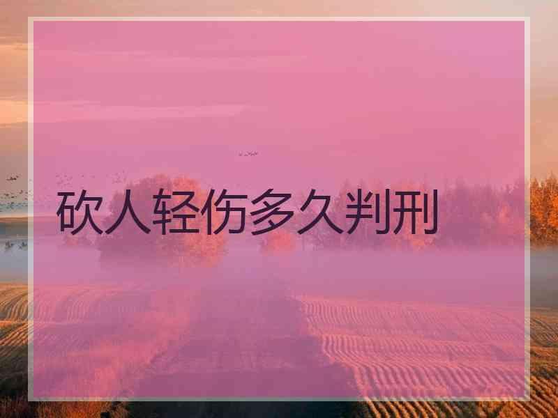 砍人轻伤多久判刑