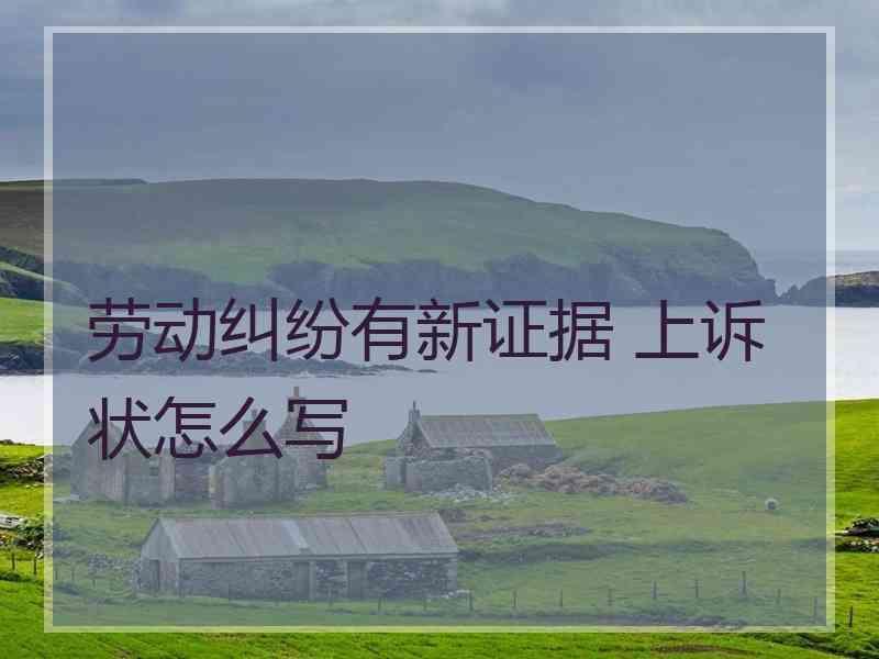 劳动纠纷有新证据 上诉状怎么写