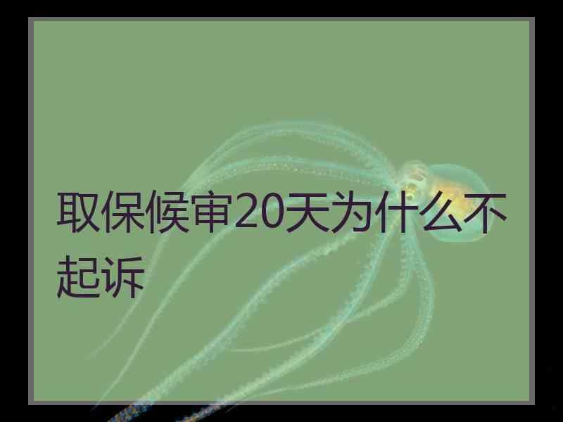 取保候审20天为什么不起诉