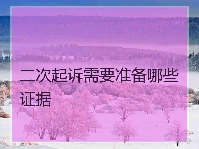 二次起诉需要准备哪些证据