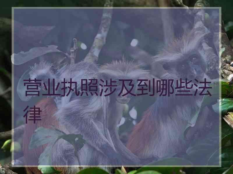 营业执照涉及到哪些法律