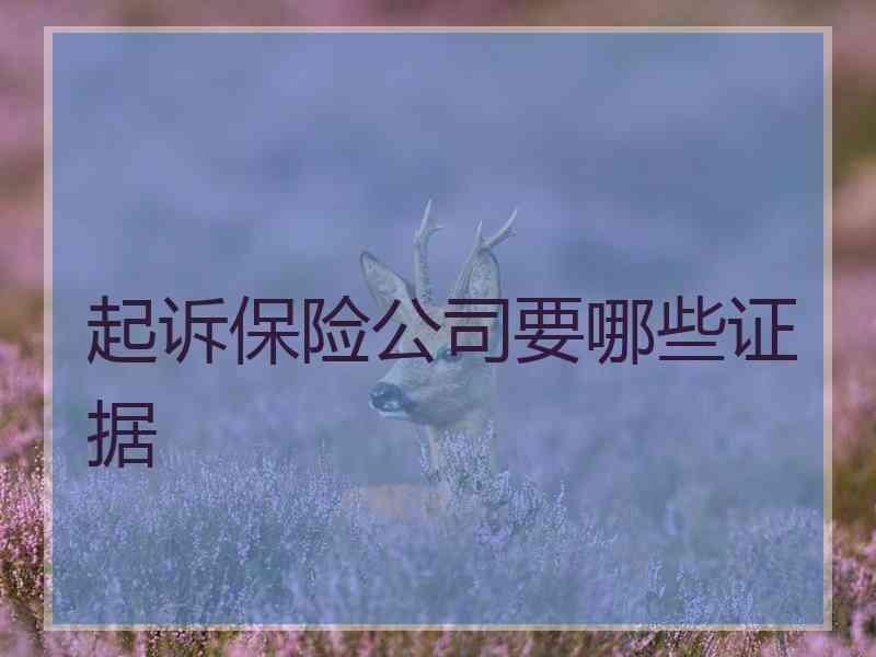 起诉保险公司要哪些证据