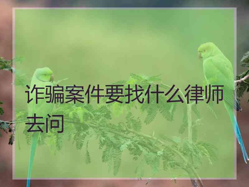 诈骗案件要找什么律师去问