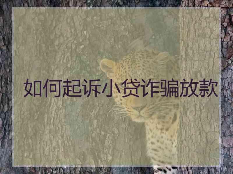 如何起诉小贷诈骗放款