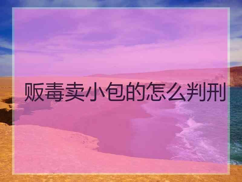 贩毒卖小包的怎么判刑