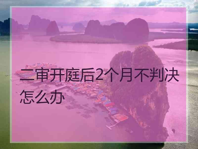 二审开庭后2个月不判决怎么办