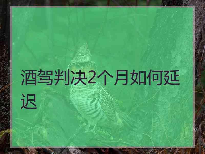 酒驾判决2个月如何延迟