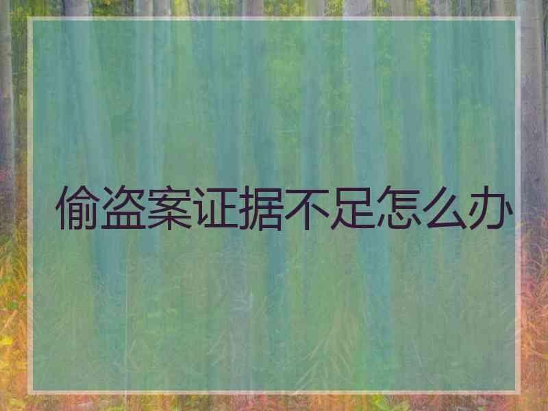 偷盗案证据不足怎么办