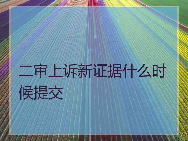 二审上诉新证据什么时候提交