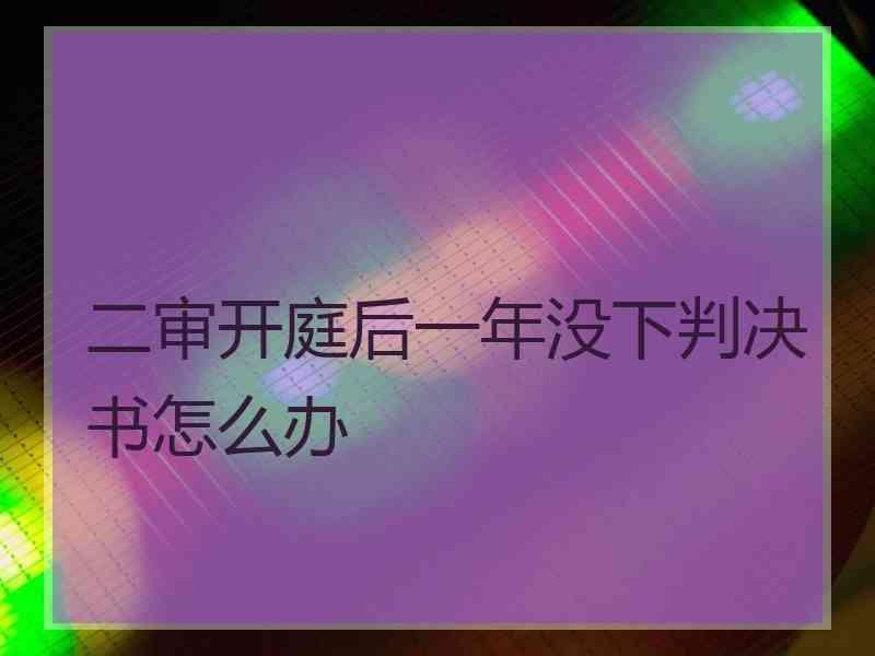 二审开庭后一年没下判决书怎么办