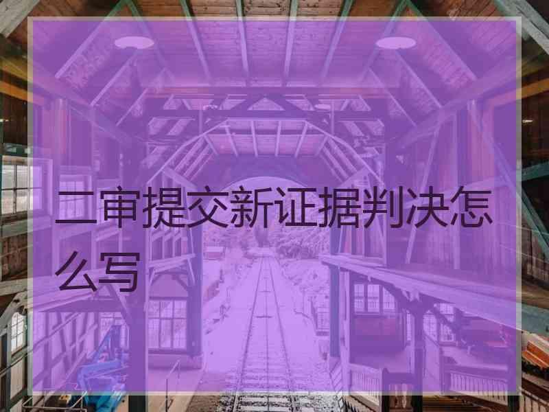 二审提交新证据判决怎么写