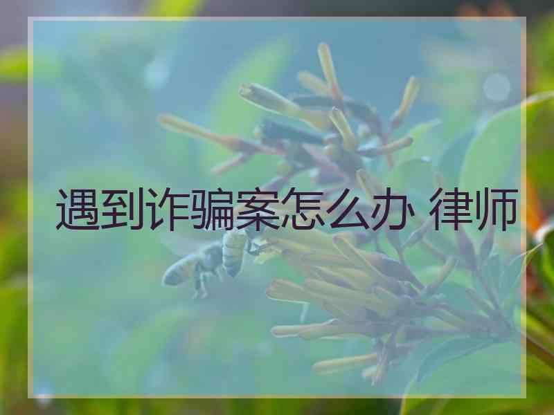 遇到诈骗案怎么办 律师