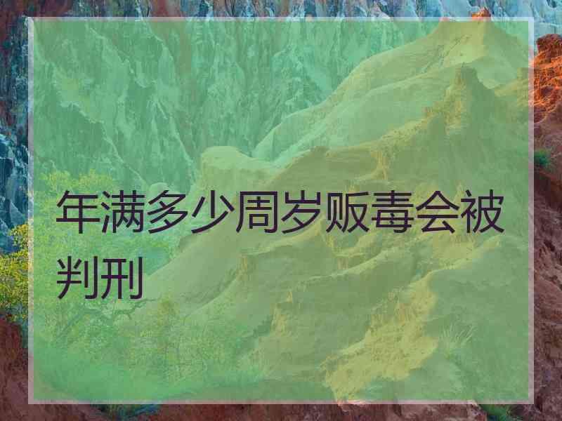 年满多少周岁贩毒会被判刑