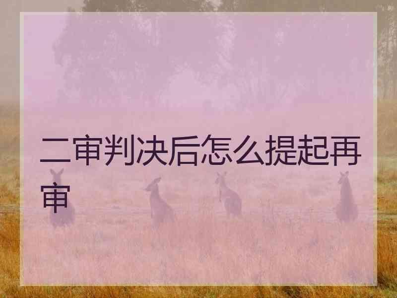 二审判决后怎么提起再审