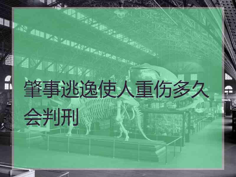 肇事逃逸使人重伤多久会判刑