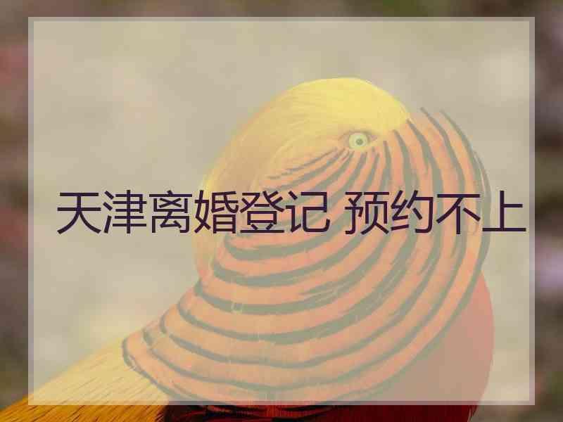 天津离婚登记 预约不上