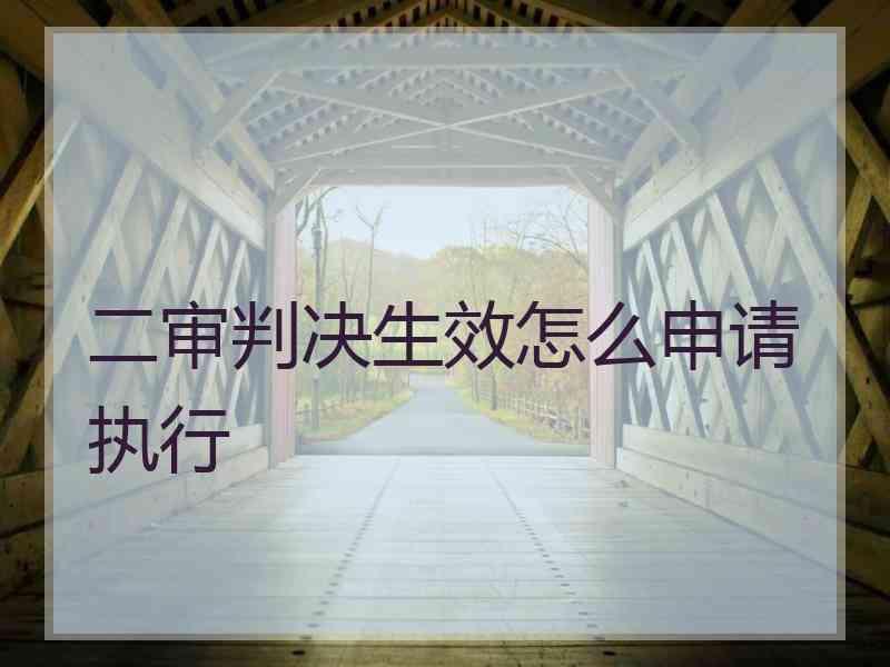 二审判决生效怎么申请执行