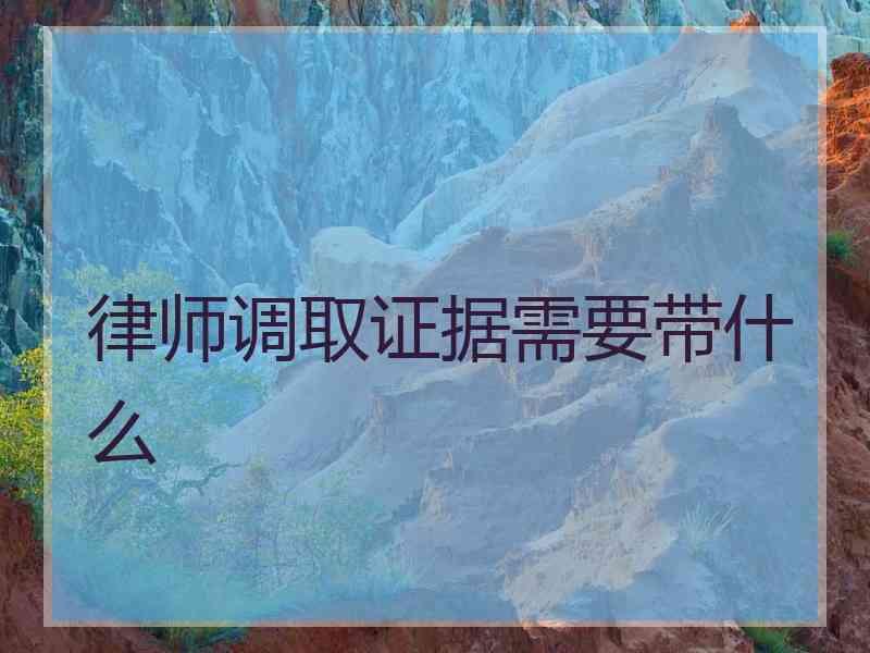 律师调取证据需要带什么