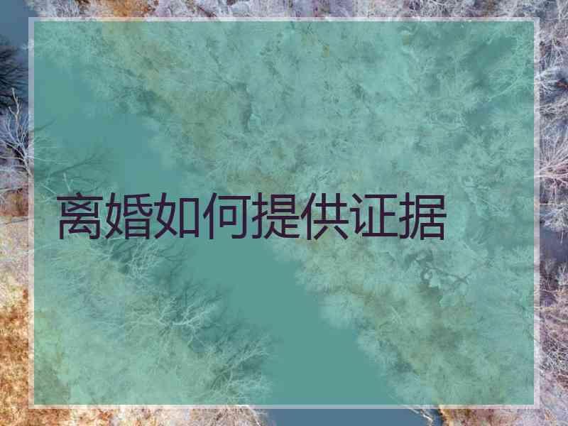 离婚如何提供证据