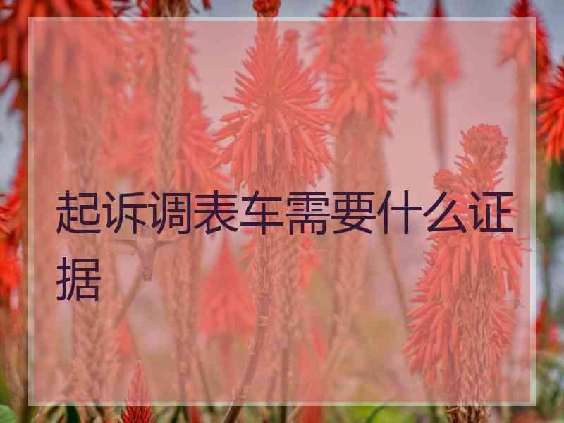 起诉调表车需要什么证据