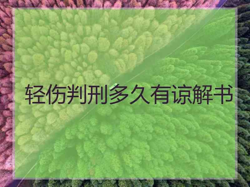 轻伤判刑多久有谅解书