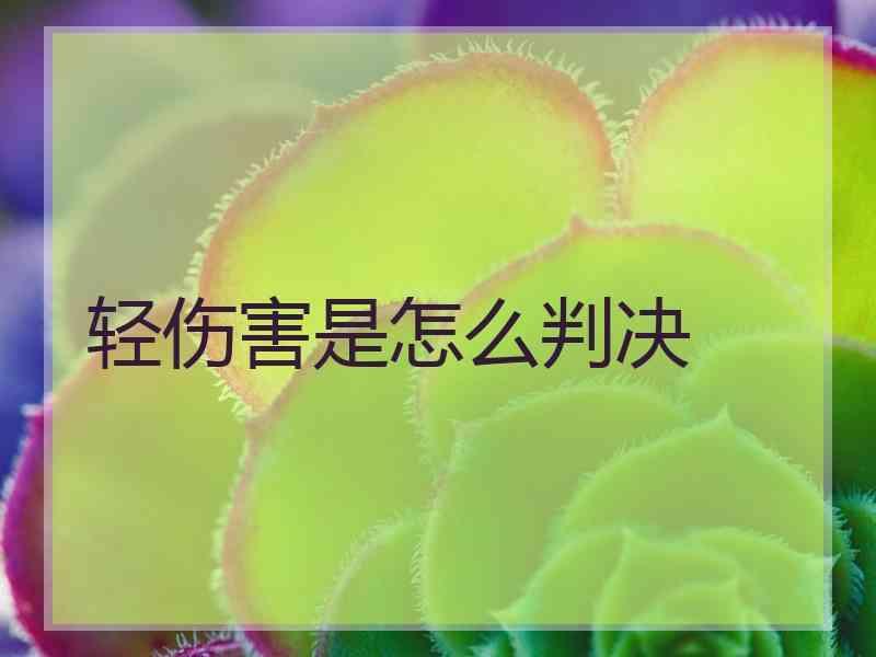 轻伤害是怎么判决