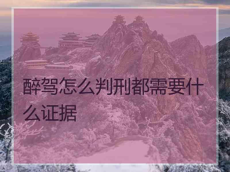 醉驾怎么判刑都需要什么证据