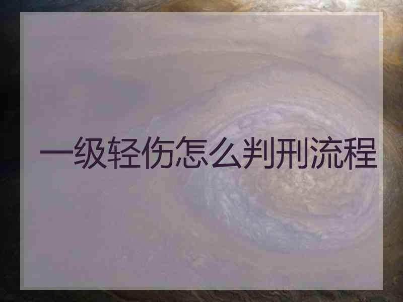 一级轻伤怎么判刑流程