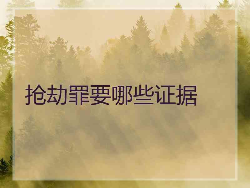 抢劫罪要哪些证据