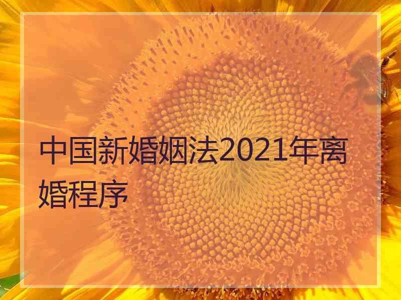 中国新婚姻法2021年离婚程序