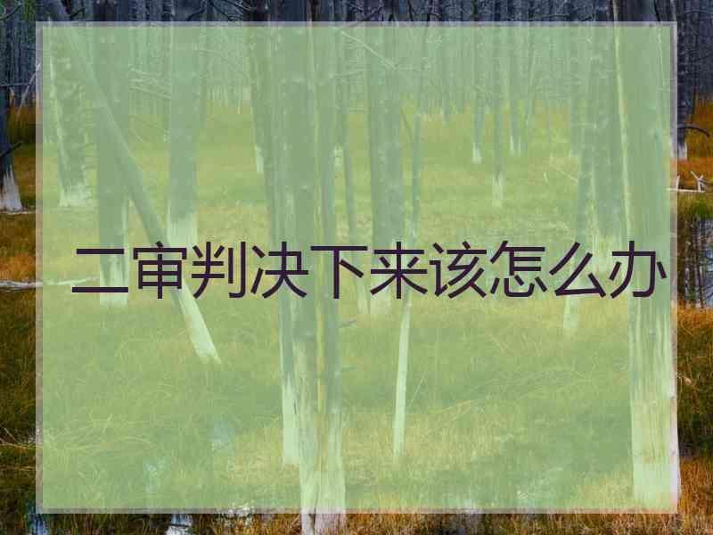 二审判决下来该怎么办