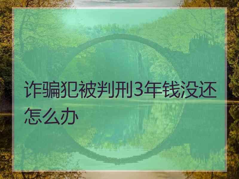 诈骗犯被判刑3年钱没还怎么办
