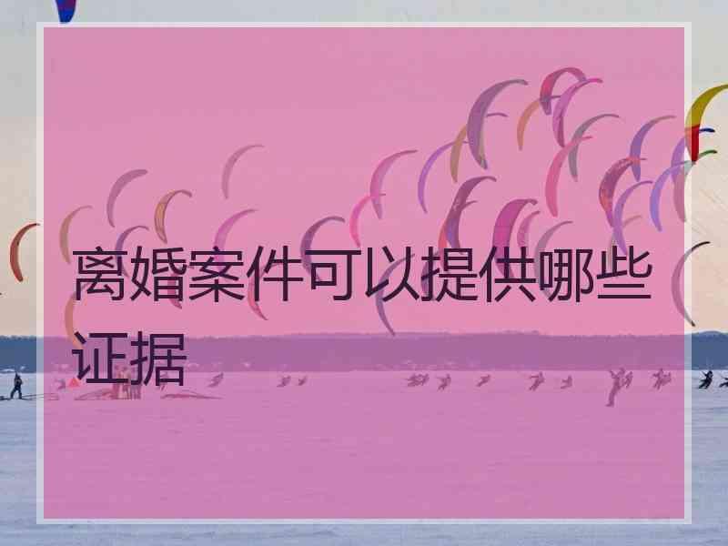 离婚案件可以提供哪些证据