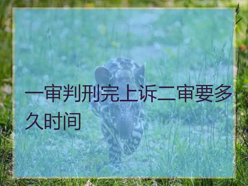 一审判刑完上诉二审要多久时间
