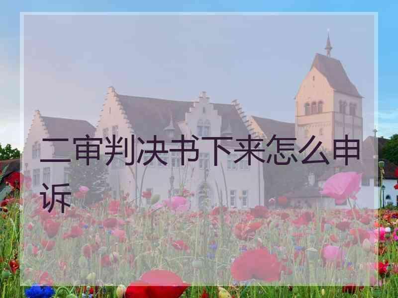 二审判决书下来怎么申诉