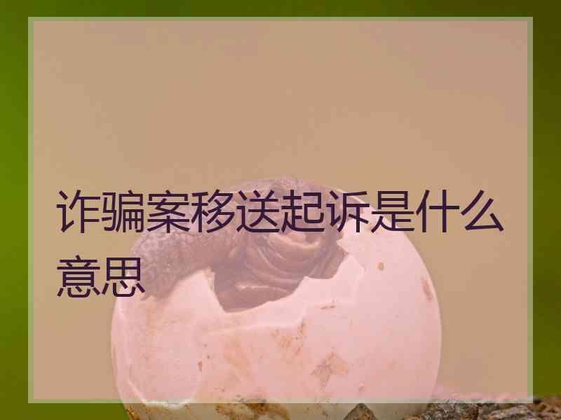 诈骗案移送起诉是什么意思