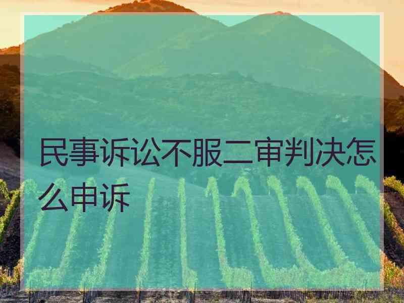 民事诉讼不服二审判决怎么申诉