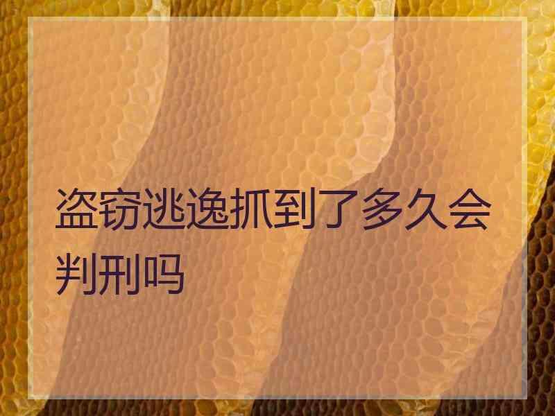 盗窃逃逸抓到了多久会判刑吗