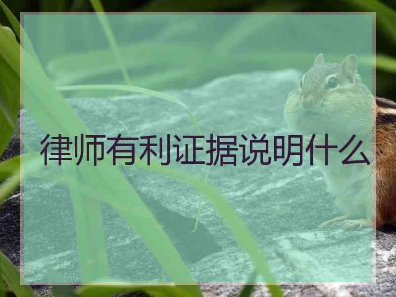 律师有利证据说明什么